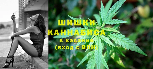 стаф Баксан